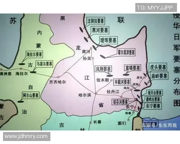 深入分析上海排球队的进攻策略与战术特点解析