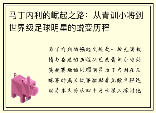 马丁内利的崛起之路：从青训小将到世界级足球明星的蜕变历程